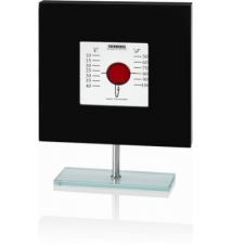 G.W. Schleidt Square Floating Thermometer On Glass Stand Black Frame