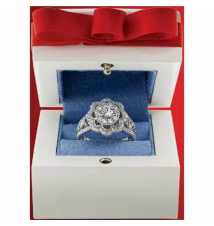1-ct. T.W. diamond Simply Vera Vera Wang Special Edition ring
Kohl's
