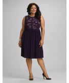 Plus Size Banded Lace Top Dres..