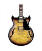 Ibanez Artcore Expressionist A..