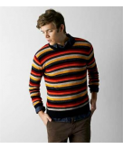AEO Striped Sweater
American E..